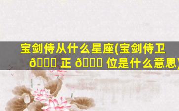 宝剑侍从什么星座(宝剑侍卫 🐞 正 🐝 位是什么意思)